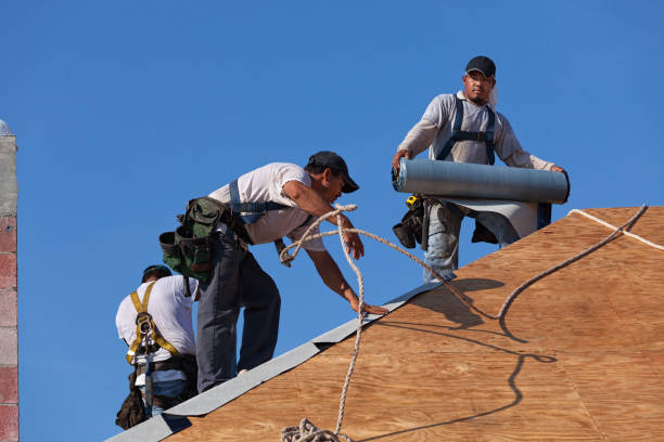 Roof Gutter Cleaning in Penryn, CA